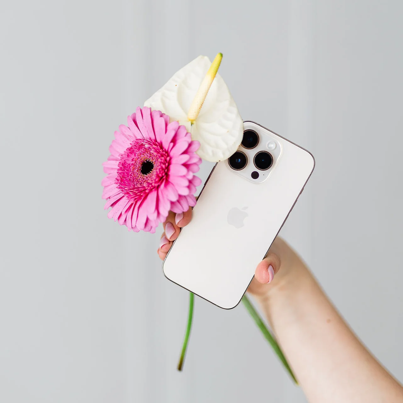 Ujęcie telefonu trzymanego w dłoni z różowy i białym kwiatem.
